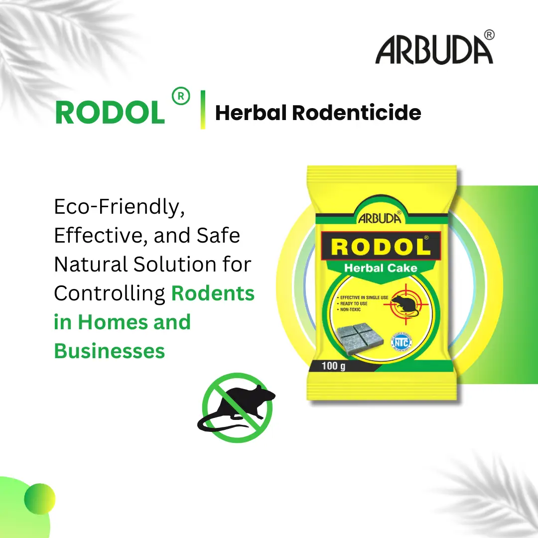 Rodol Herbal Rat Killer Cake 100g (Pack of 10)