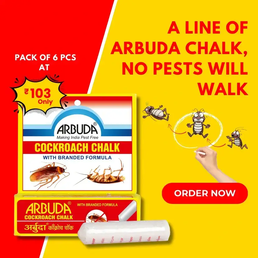 Cockroach Chalk