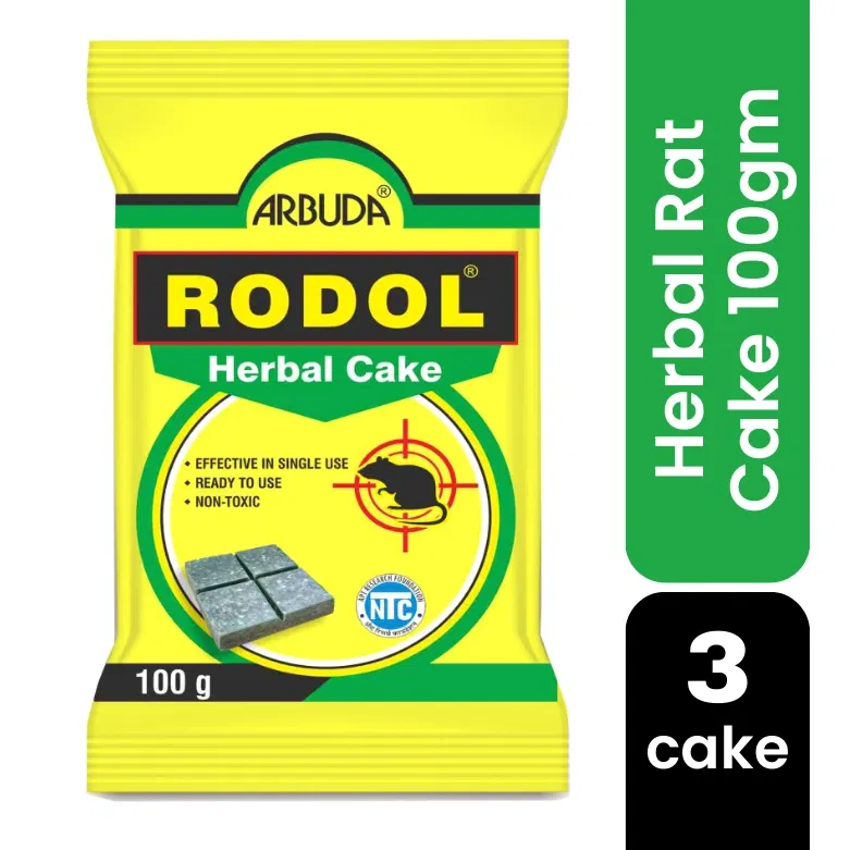 Rodol Rat Cake (Pack of 3)