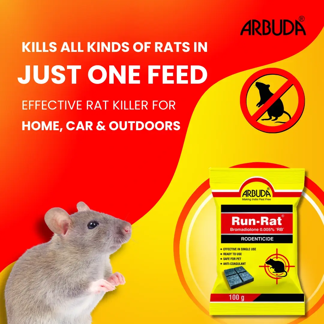 Run Rat - Kills Rat, Mouse and Rodents