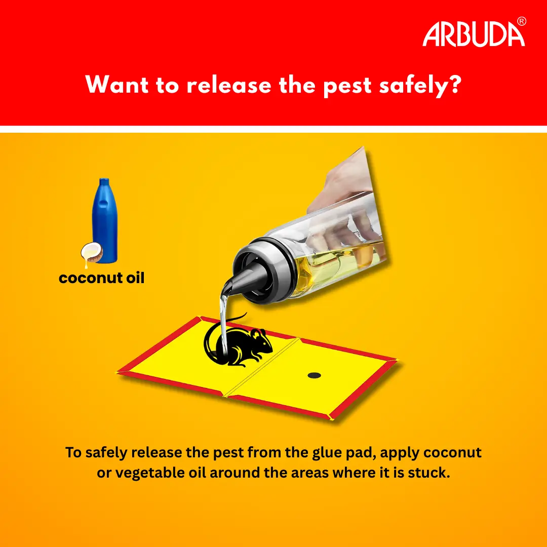 Rodent Bait Station (Plastic) Pack of 5 with Small Rat Glue Pads (Pack of 5)