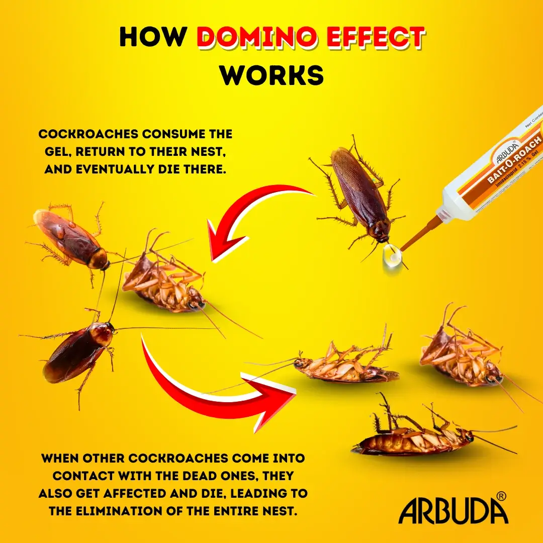 Roachbait Gel + Bait-O-Roach Gel