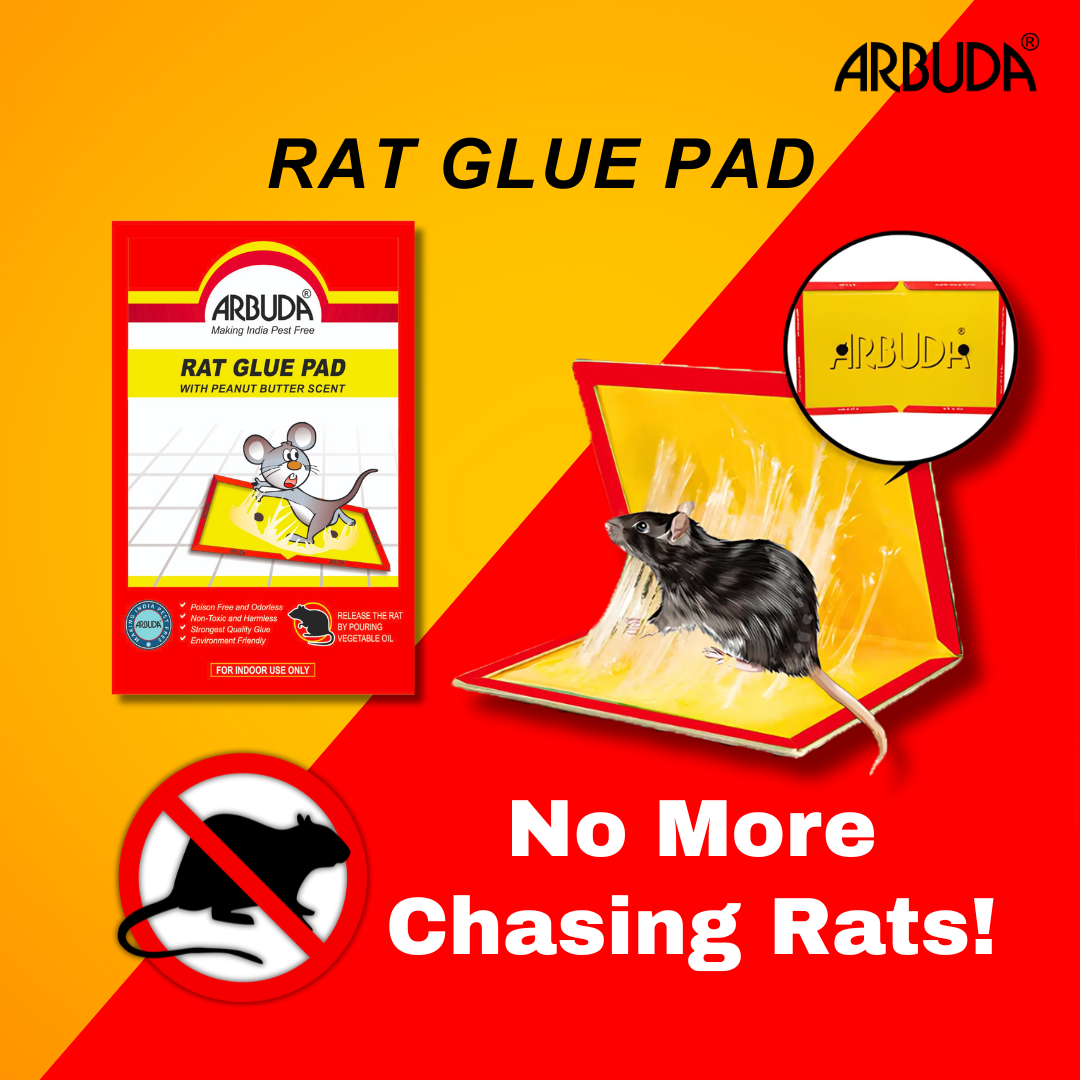 Rodent Bait Station (Metal) Pack of 5 with Small Rat Glue Pads (Pack of 5)