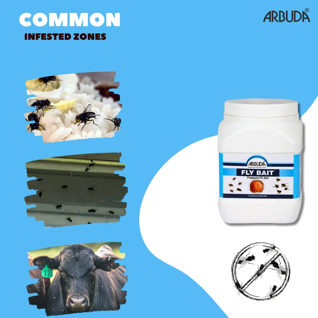 Fly Bait