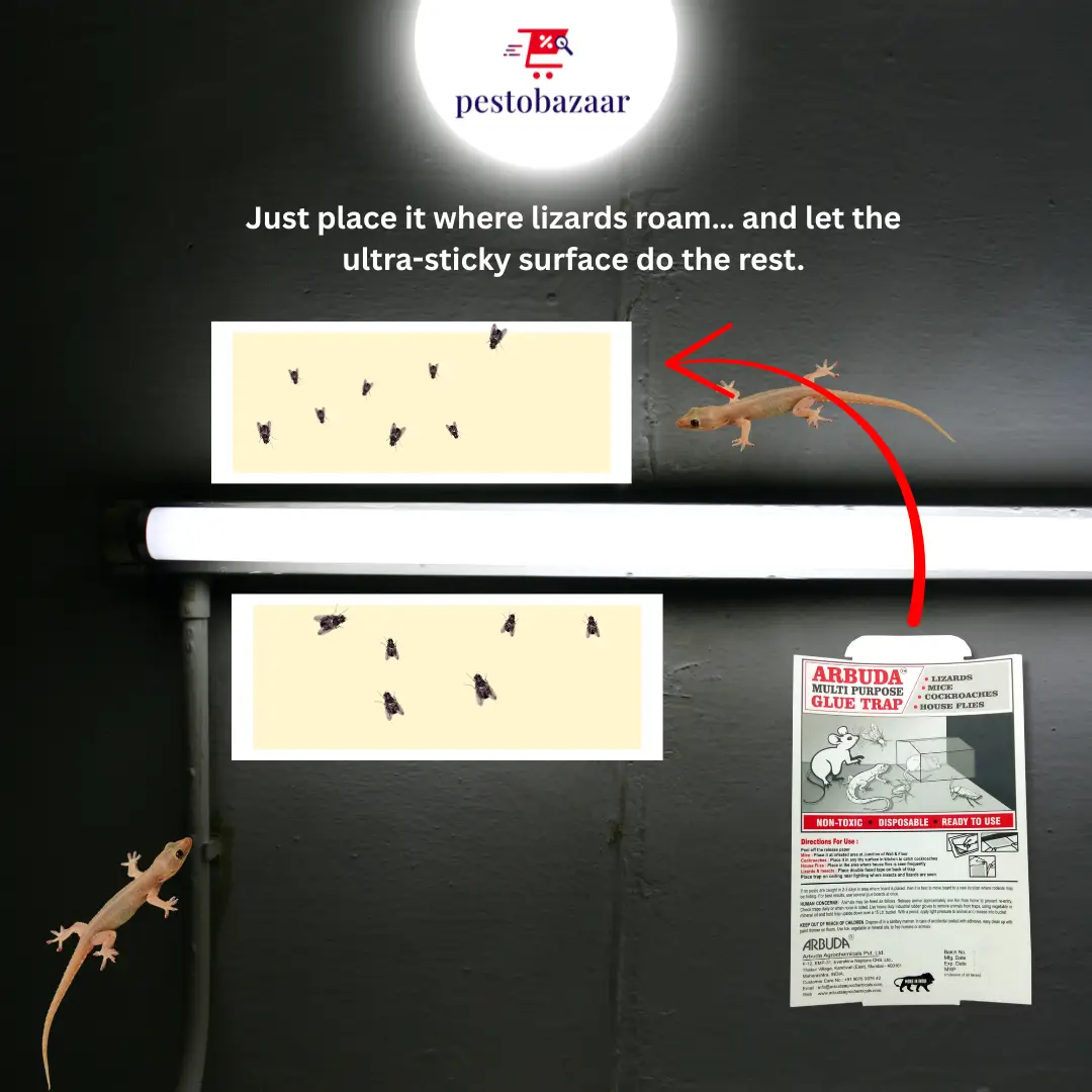 Multipurpose Glue Trap