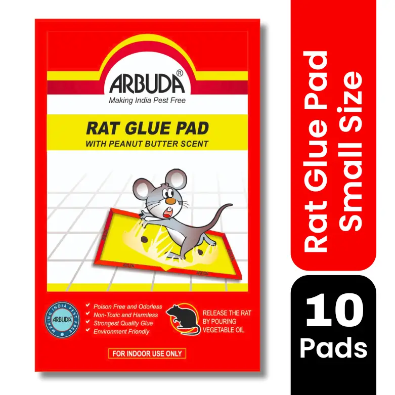 Rat Glue Pad