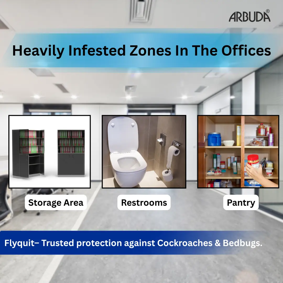 Termaout 500ml + Bait-o-Roach Gel 35g