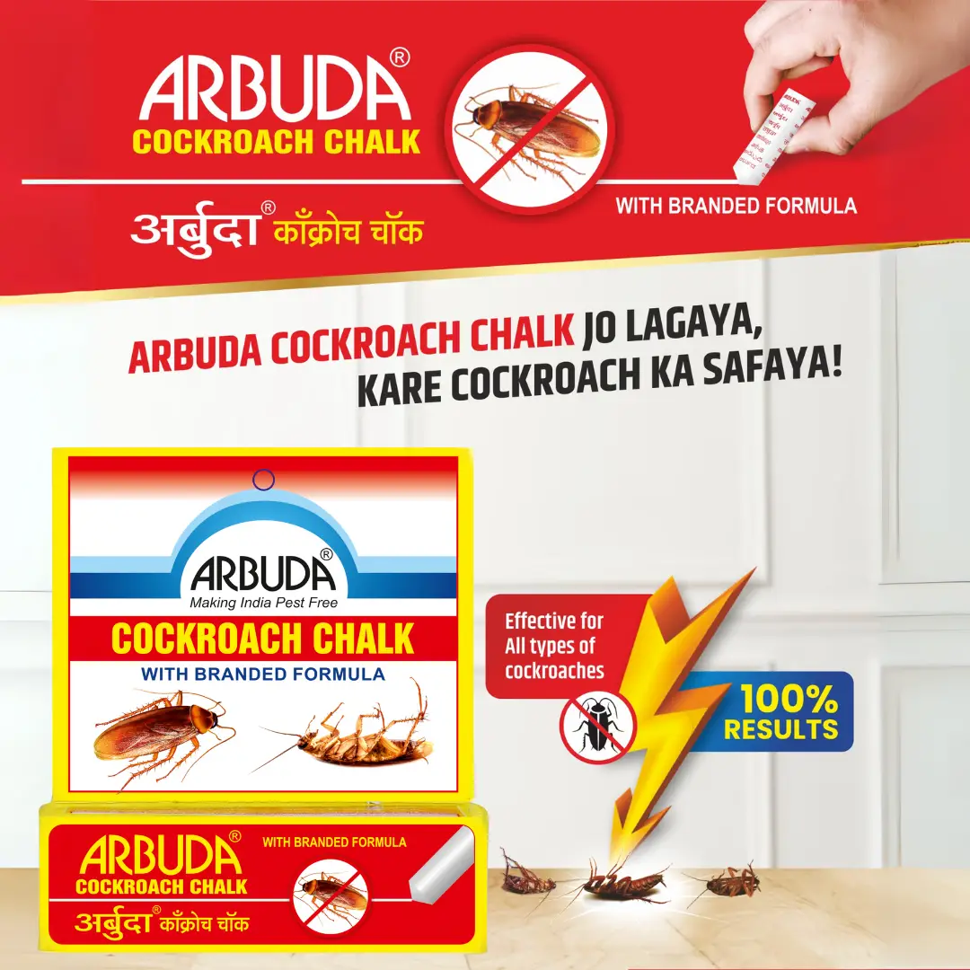 Cockroach Chalk