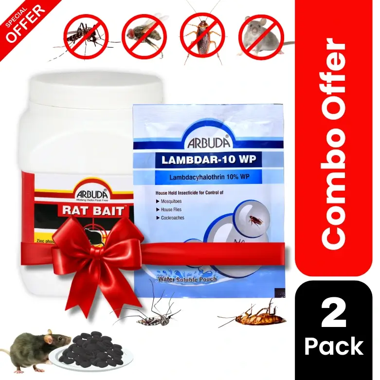 Rat Bait 1 kg + Lambdar-10 WP 1 pcs