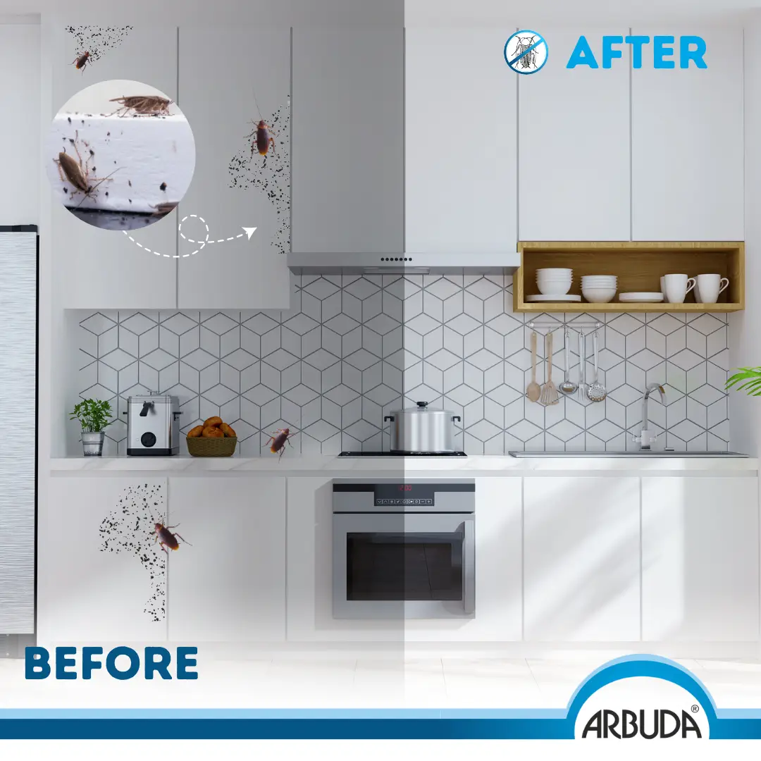 Flyquit 1L + Free 2 Small Rat Glue Pads