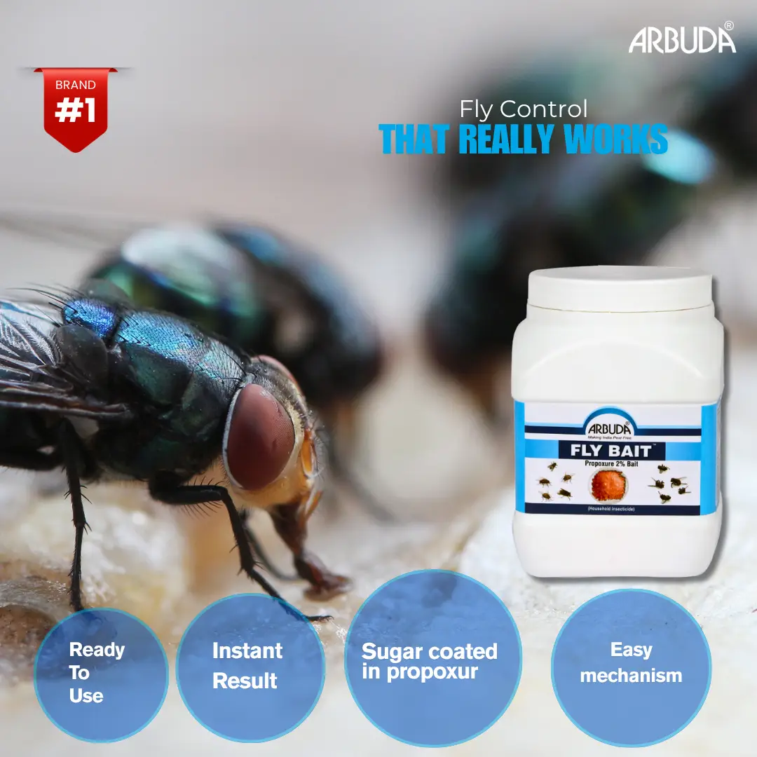 Fly Bait