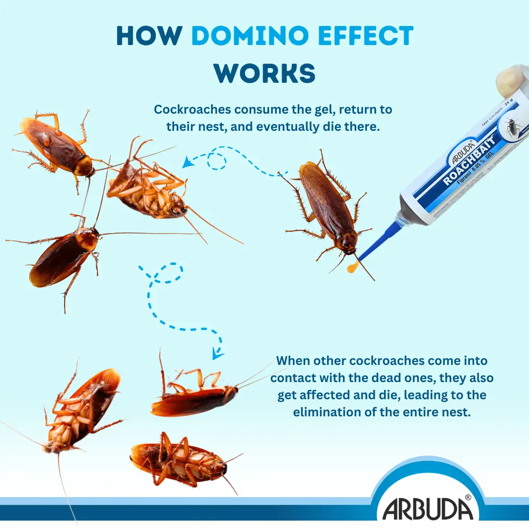 Roachbait Gel + Bait-O-Roach Gel